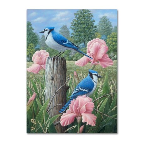 Trademark Fine Art Robert Wavra 'Blue Jays' Canvas Art, 24x32 ALI12072-C2432GG
